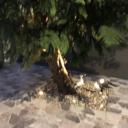 הוילה Sao Pedro  Casa De Vivian And Michael מראה חיצוני תמונה